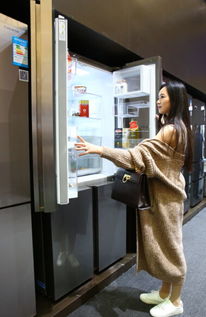 高端家電逆勢(shì)增長 供需失衡下的市場突圍與軟件開發(fā)賦能